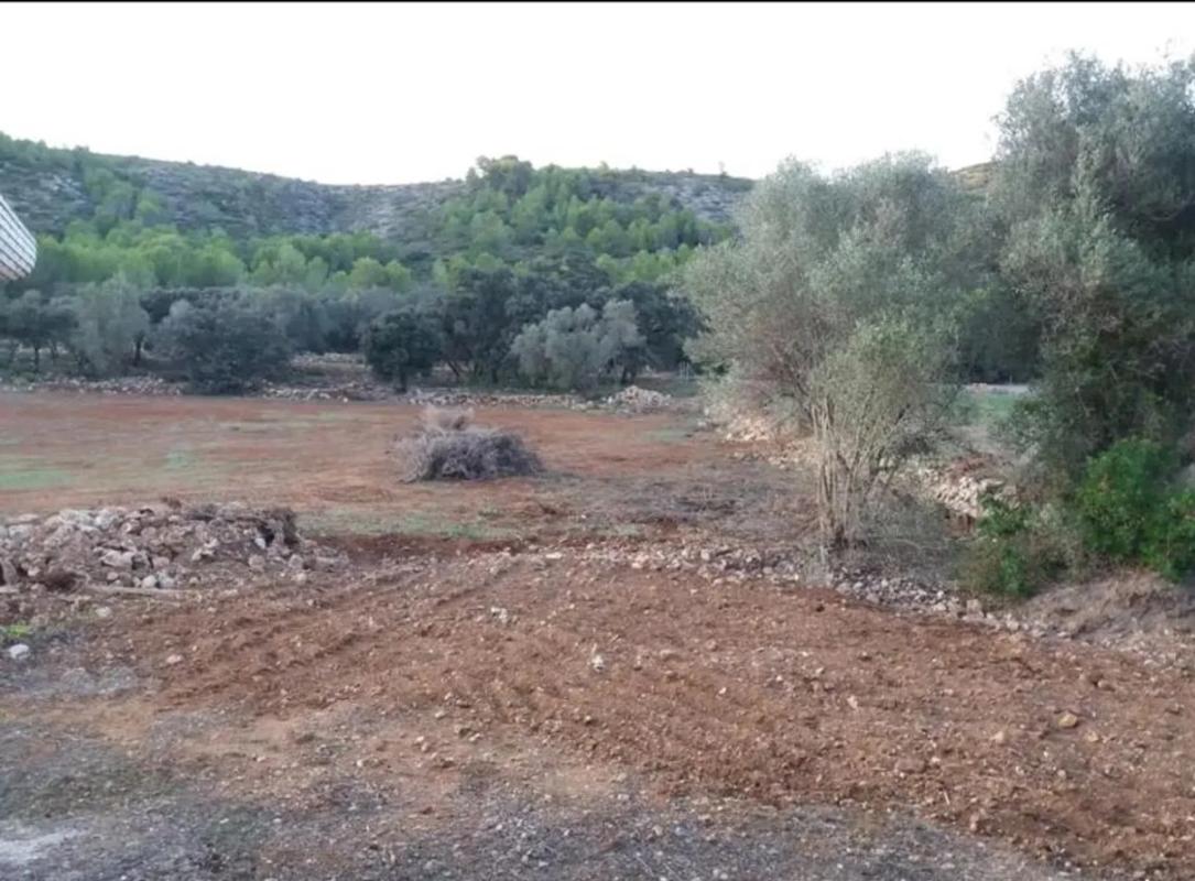 Terreno en venta en Alcalalí, Alicante photo 4