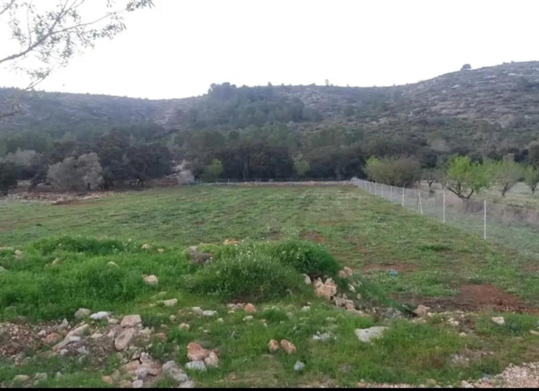 Terreno en venta en Alcalalí, Alicante photo 5