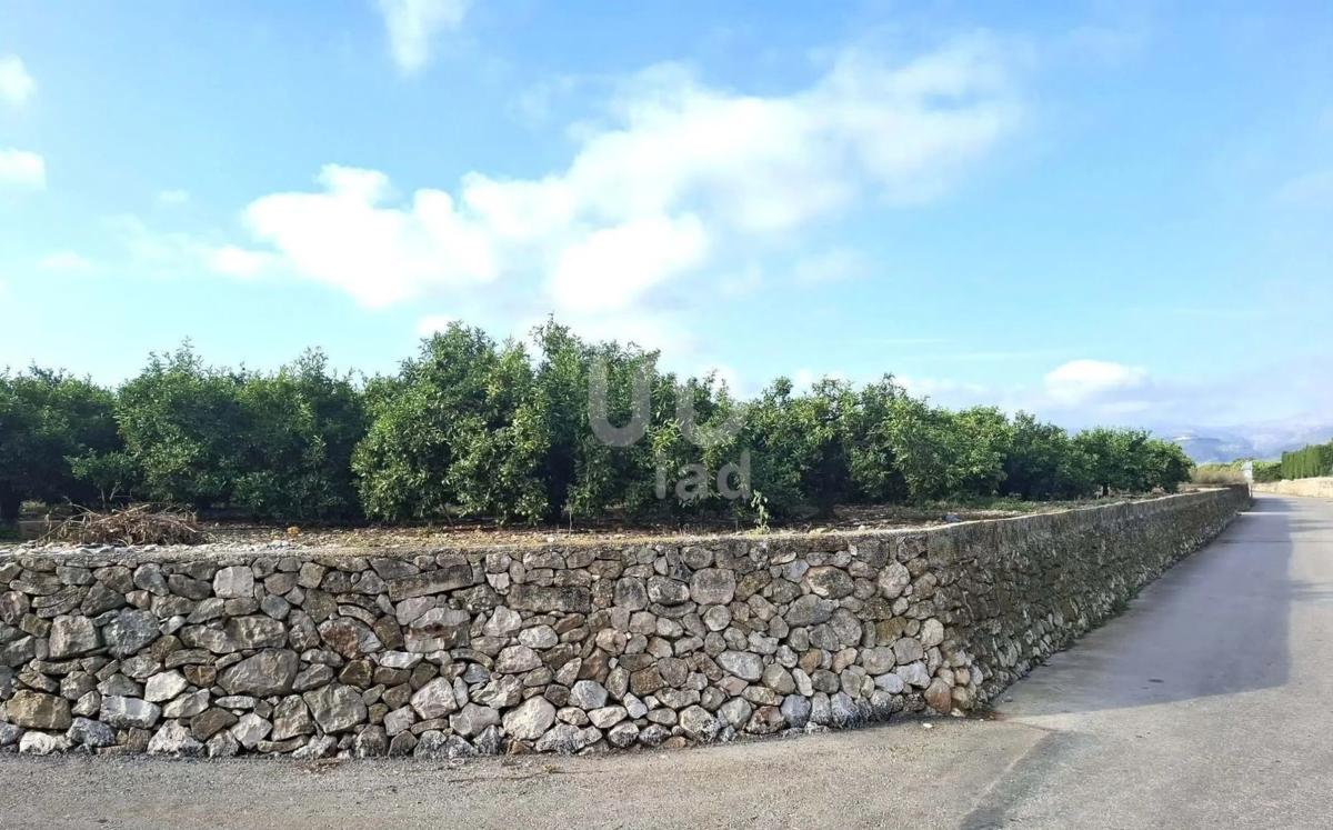 Działka na sprzedaż w Benidoleig, Alicante photo 2