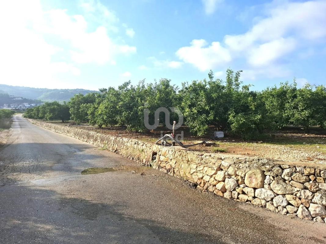Działka na sprzedaż w Benidoleig, Alicante photo 4