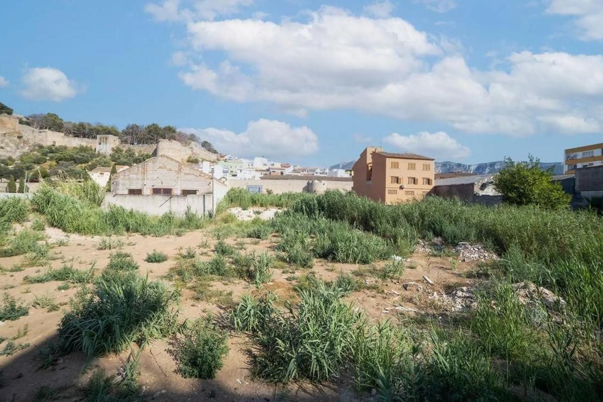 Land for sale in Denia, Alicante photo 5