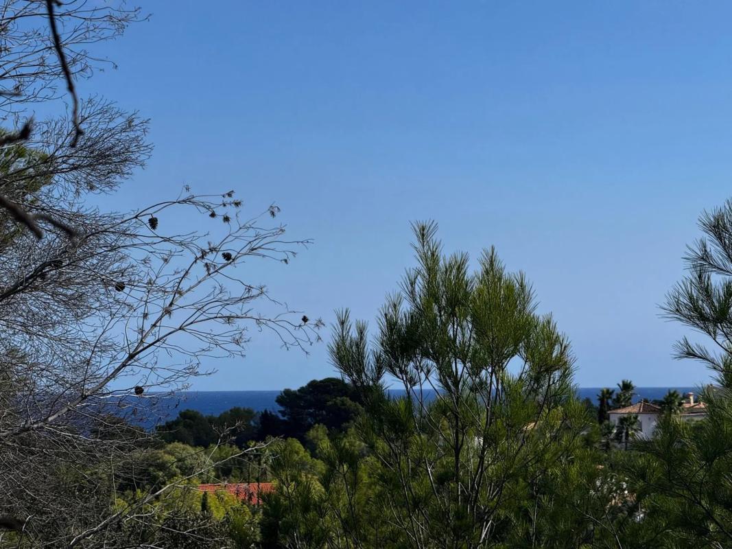 Działka na sprzedaż w Dénia, Alicante photo 5