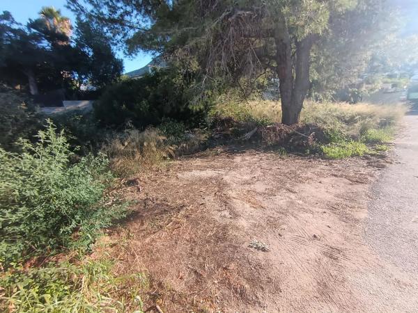 Terreno en El Montgó photo 4