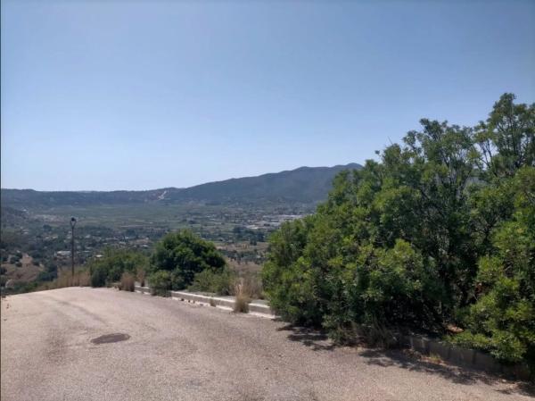 Terreno en Jalón photo 1