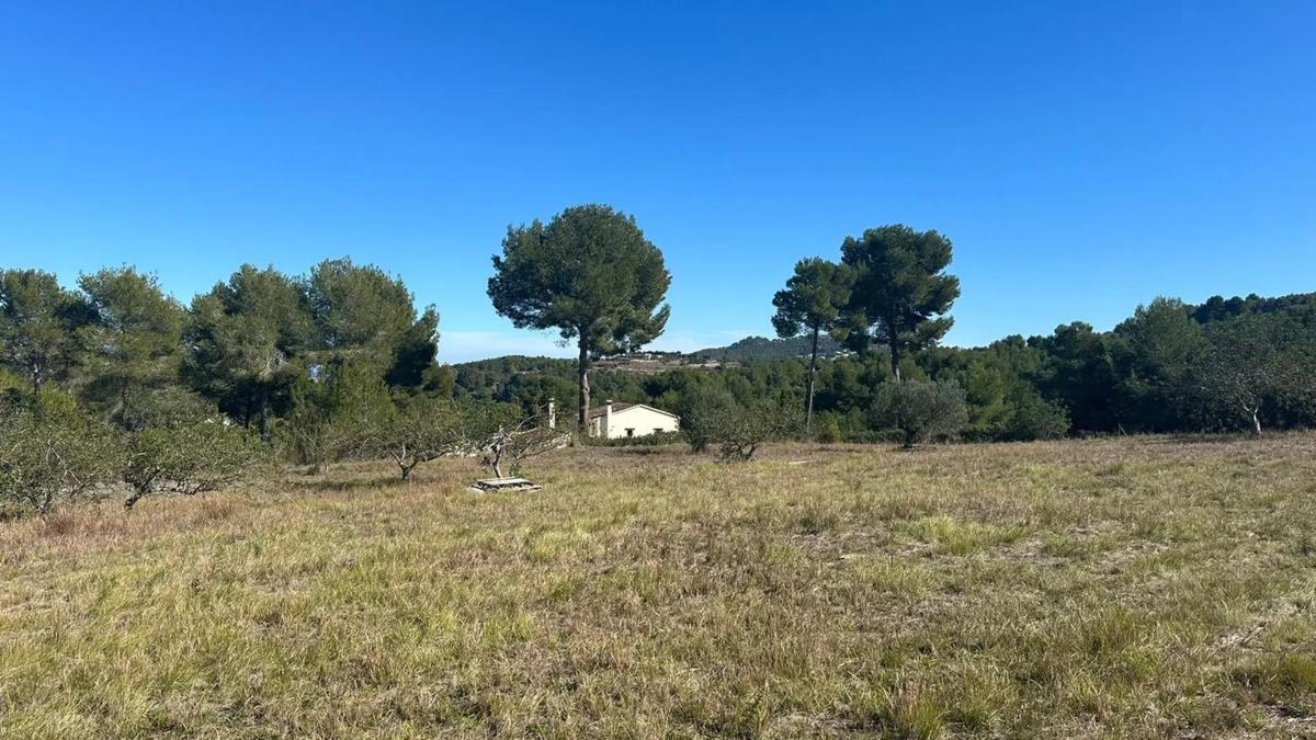 Działka na sprzedaż w Jávea/Xàbia, Alicante photo 5