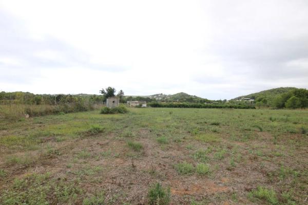 Terreno en Partida Comunes-Adsubia photo 1