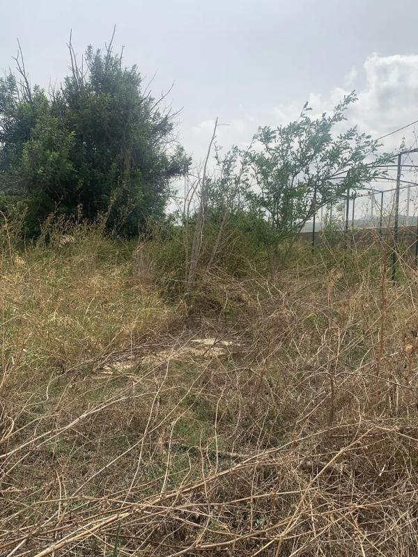 Terreno en venta en Jávea/Xàbia, Alicante photo 4