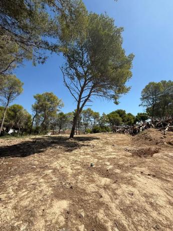 Terreno en camino de Fanadix, 10 photo 2