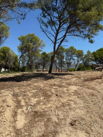 Terreno en camino de Fanadix, 10 photo 3
