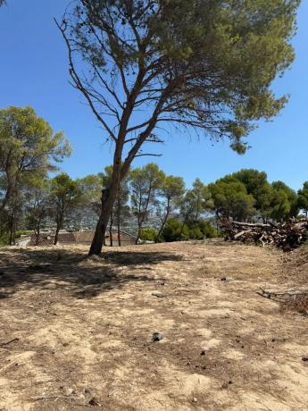 Terreno en camino de Fanadix, 10 photo 4