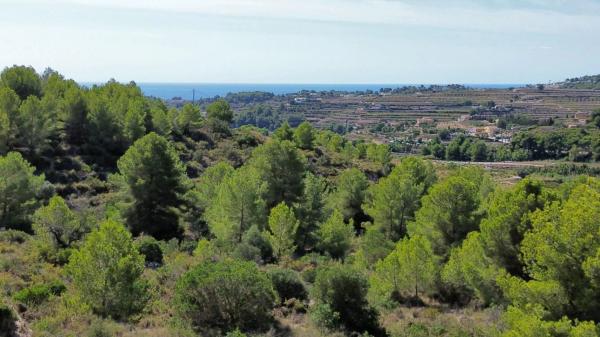Terreno en Teulada photo 1