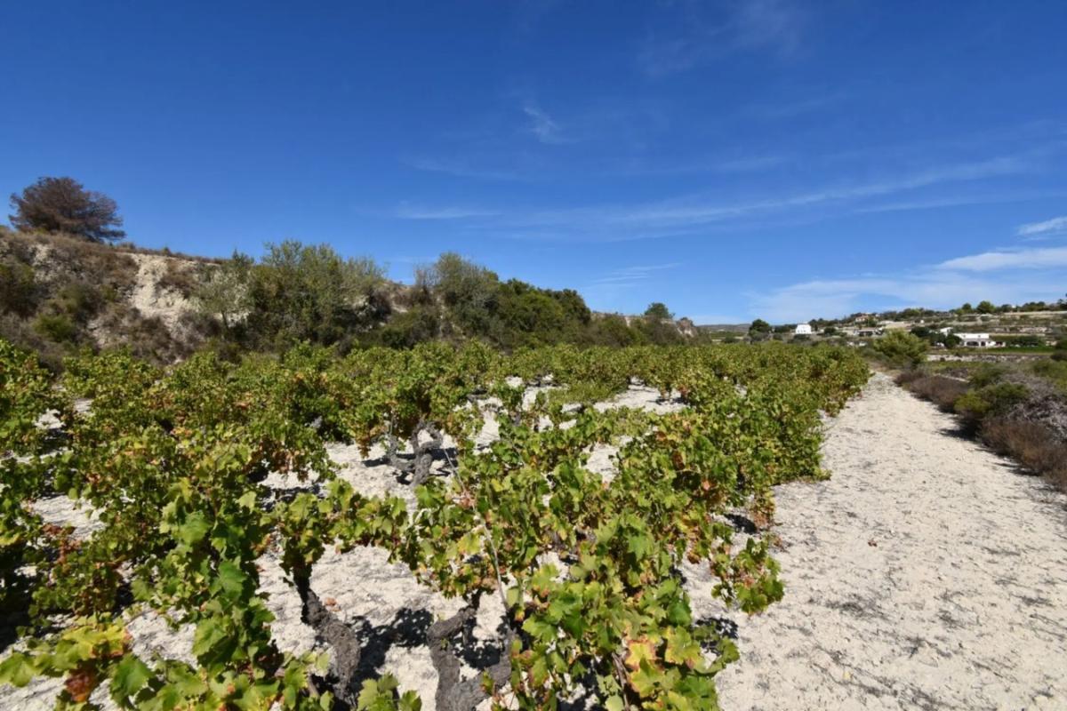 Terreno en venta en Teulada, Alicante photo 4