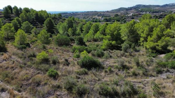 Terreno en Teulada photo 3