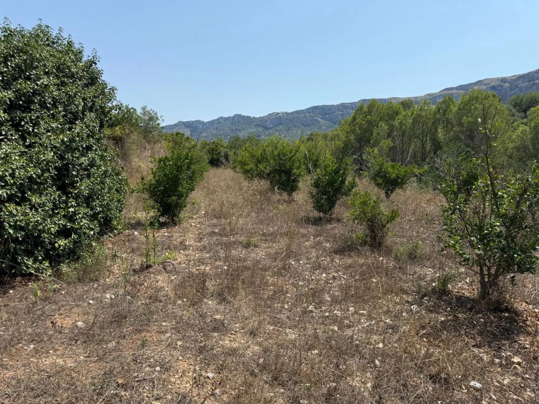 Участок земли на продажу в Валь-де-Гальинера, Аликанте photo 4