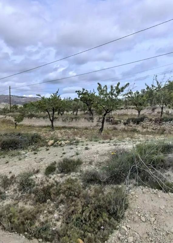 Terreno en venta en Relleu, Alicante photo 1