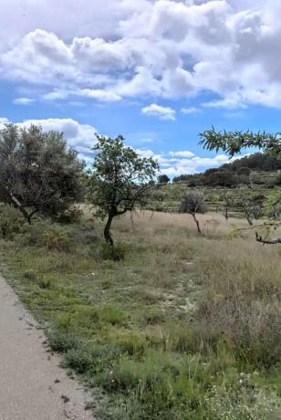 Terreno en camino Macaroves s/n photo 2