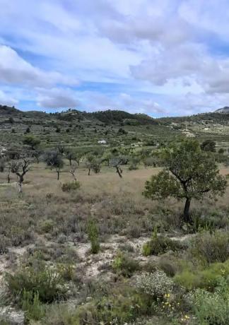 Terreno en camino Macaroves s/n photo 3