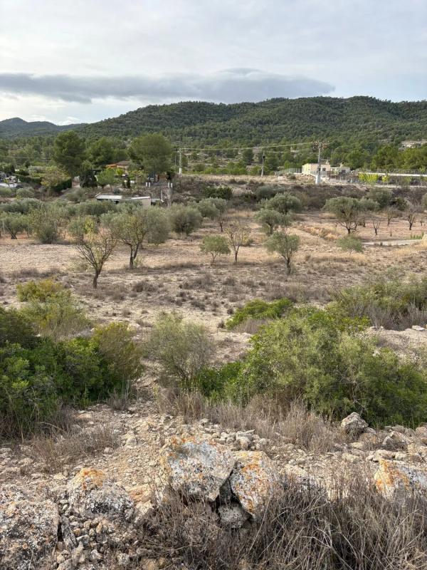 Terreno en venta en Monovar, Alicante photo 5