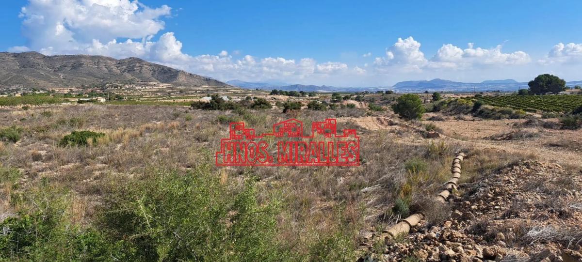 Terreno en venta en Novelda, Alicante photo 2
