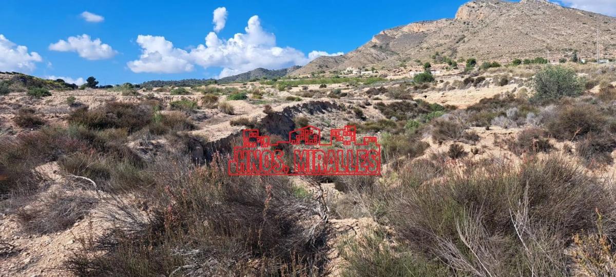 Terreno en venta en Novelda, Alicante photo 3