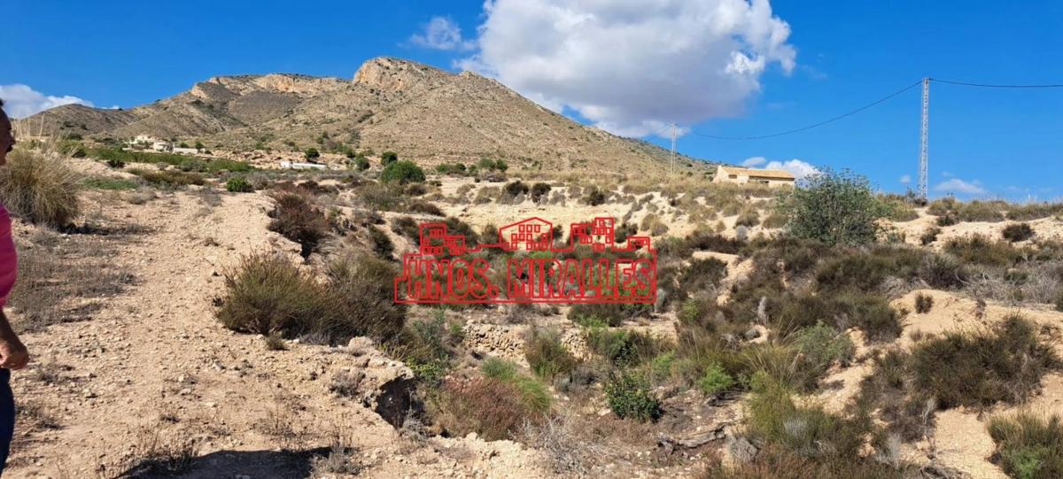 Terreno en venta en Novelda, Alicante photo 5