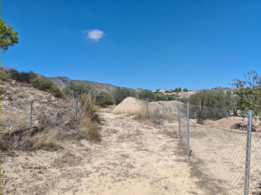 Terreno en venta en Monovar, Alicante photo 2