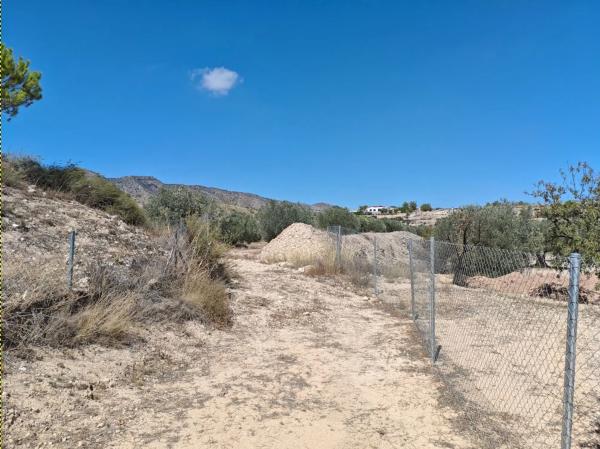 Terreno en camino de la Pedrera, 42 CamdelaPedreraMonverA thumbnail 1
