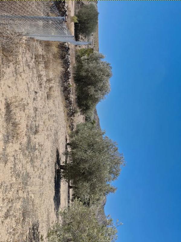 Terreno en venta en Monovar, Alicante photo 3