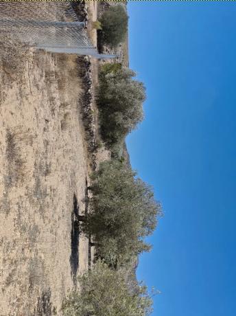 Terreno en camino de la Pedrera, 42 CamdelaPedreraMonverA thumbnail 2