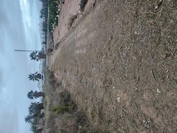Terreno en plaza Poligono 41, km 2 photo 2