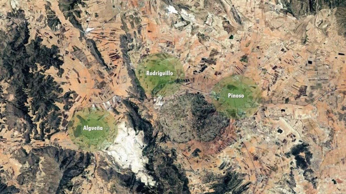 Land for sale in Pinoso, Alicante photo 5