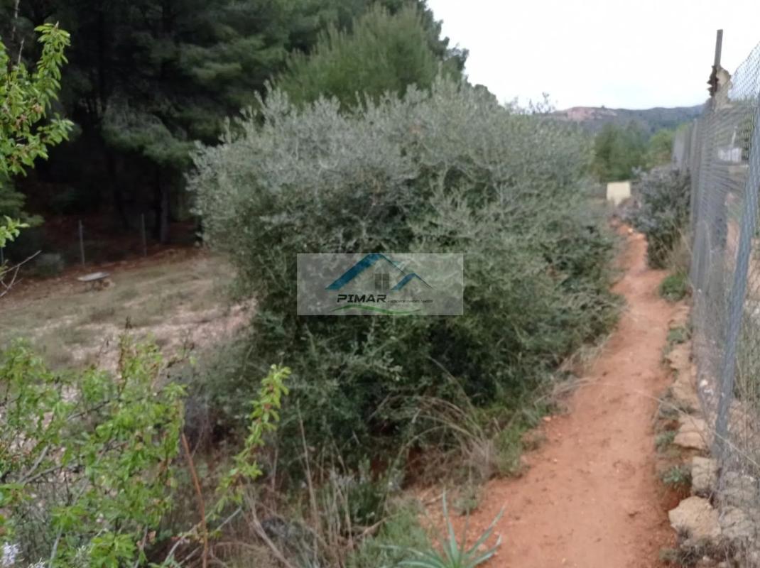 Terreno en venta en Monovar, Alicante photo 4