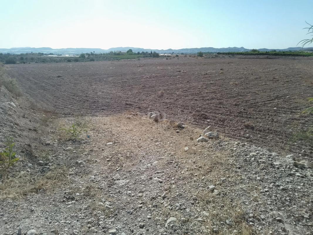 Land for sale in Novelda, Alicante photo 2