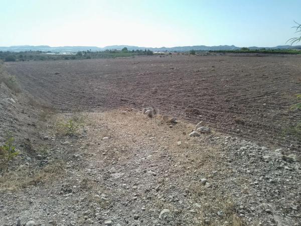 Terreno en Novelda photo 2