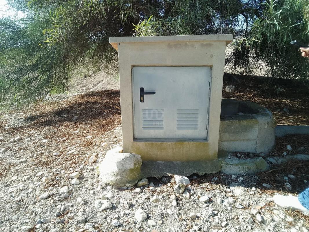 Land for sale in Novelda, Alicante photo 3