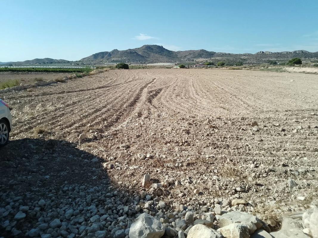 Land for sale in Novelda, Alicante photo 4