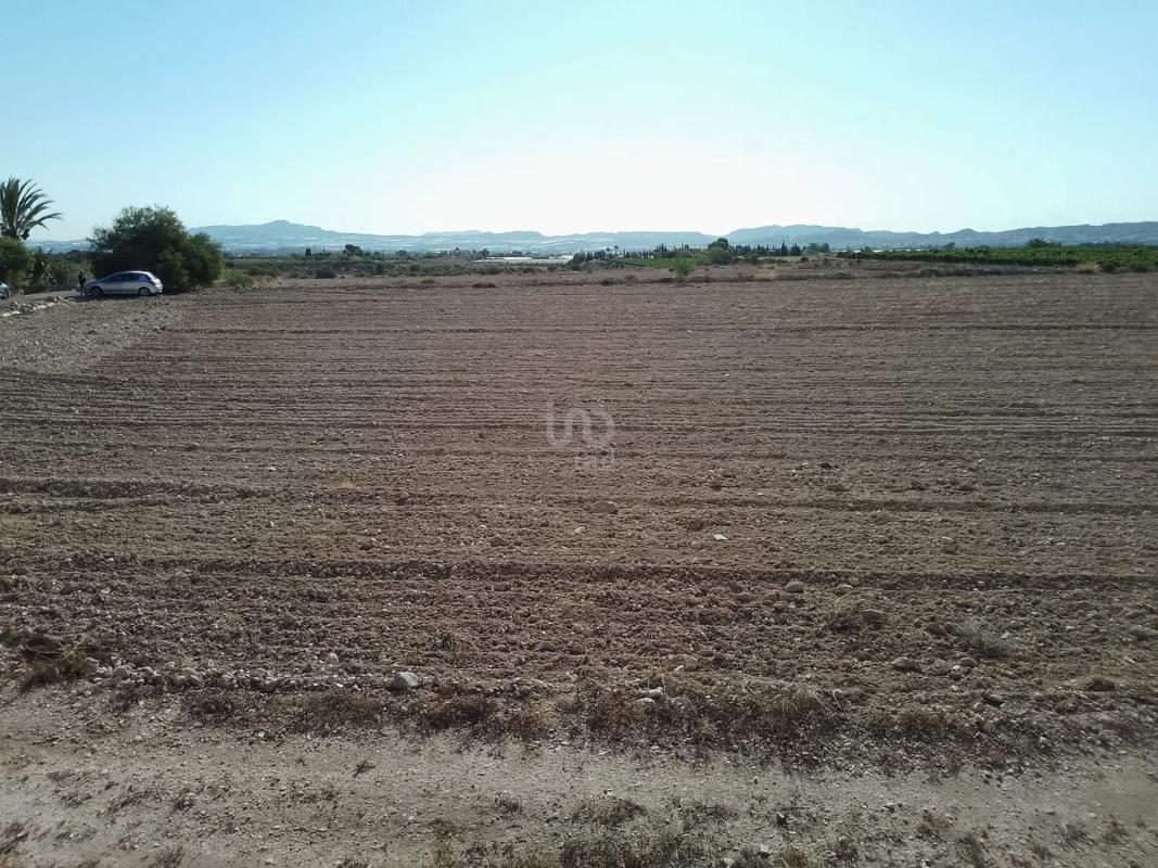 Land for sale in Novelda, Alicante photo 5