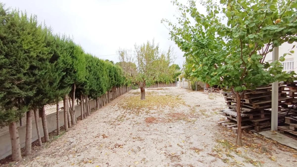 Propiedades en venta y alquiler en España photo 3