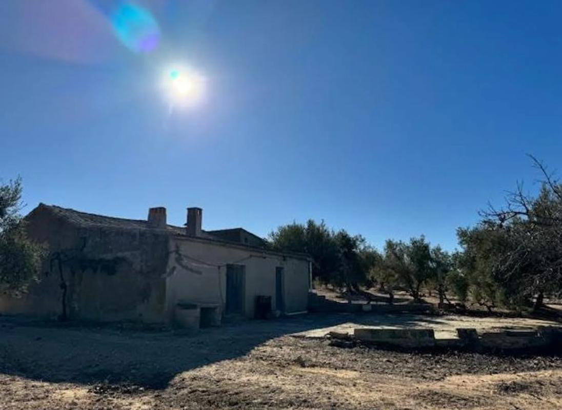Venta de finca rústica en Carretera biar campo de mirra , Biar photo 1
