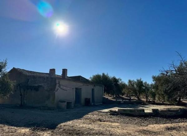 Finca rústica en venta en Carretera biar campo de mirra , Biar photo 1