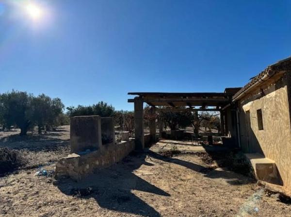 Finca rústica en venta en Carretera biar campo de mirra , Biar thumbnail 1