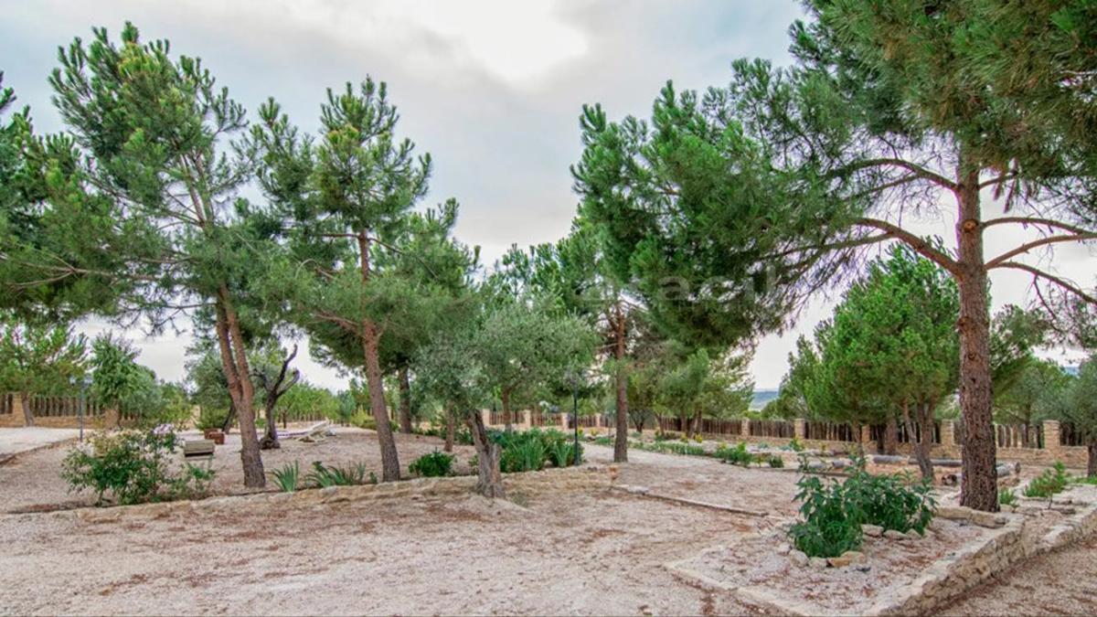 Propiedades en venta y alquiler en España photo 5