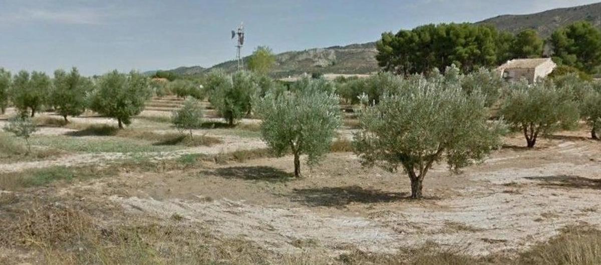 Venta de finca rústica en  Cruz de la Cañada , Villena photo 2
