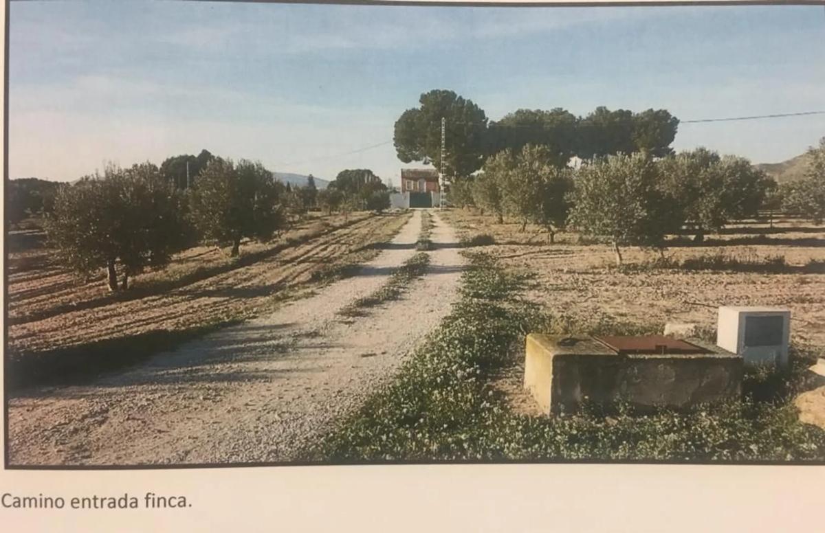 Venta de finca rústica en  Cruz de la Cañada , Villena photo 3
