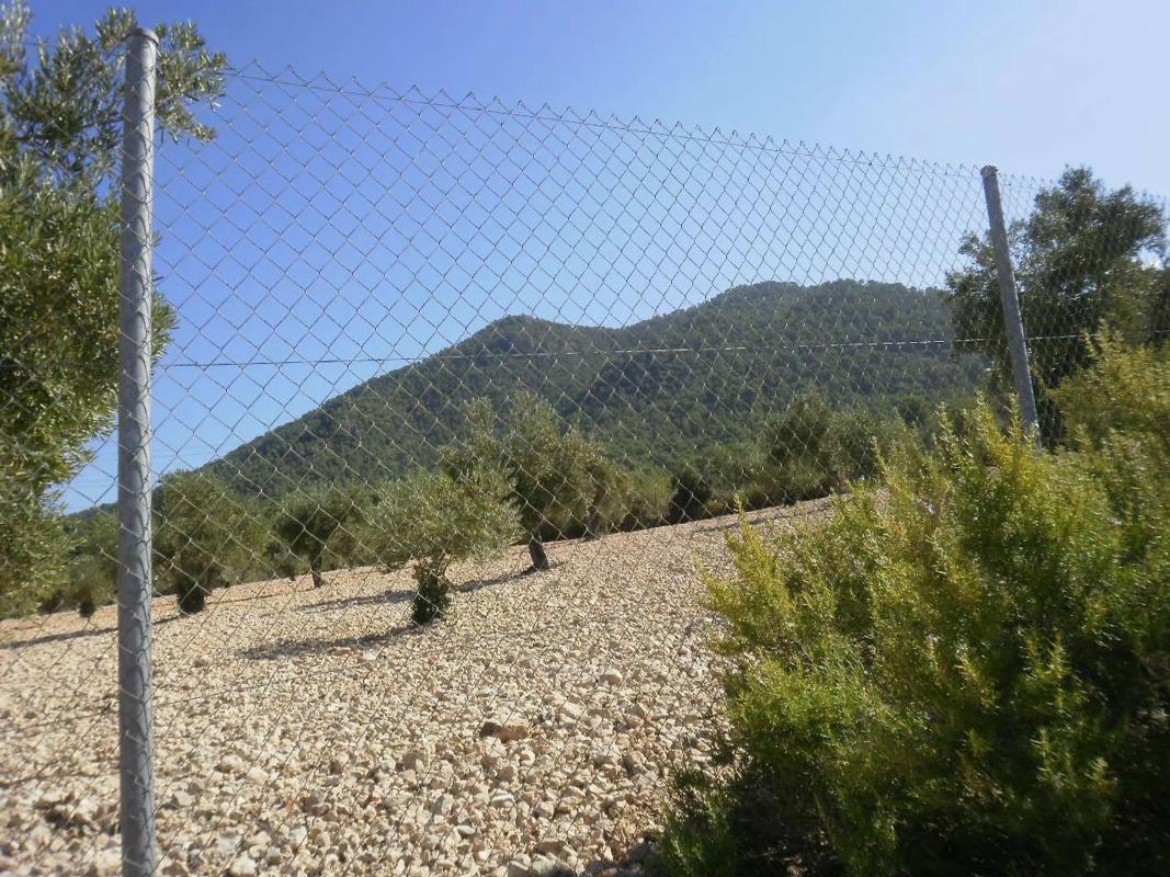 Propiedades en venta y alquiler en España photo 2