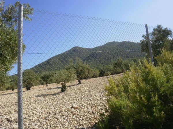 Casa independiente en pol. 21 parc. 493 carr.biar-bañeres s/n photo 2