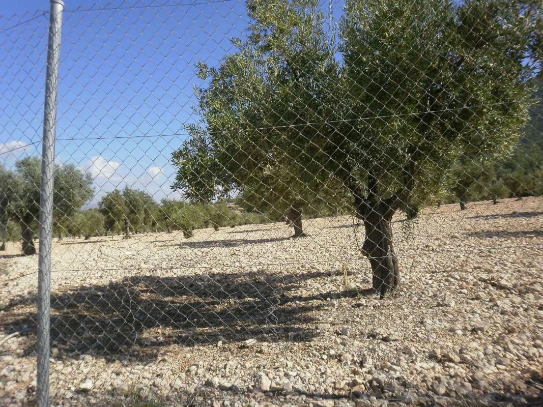 Propiedades en venta y alquiler en España photo 3