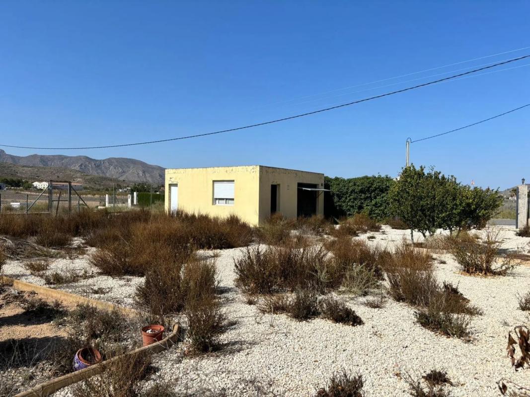 Properties for sale and rent in Spain photo 2