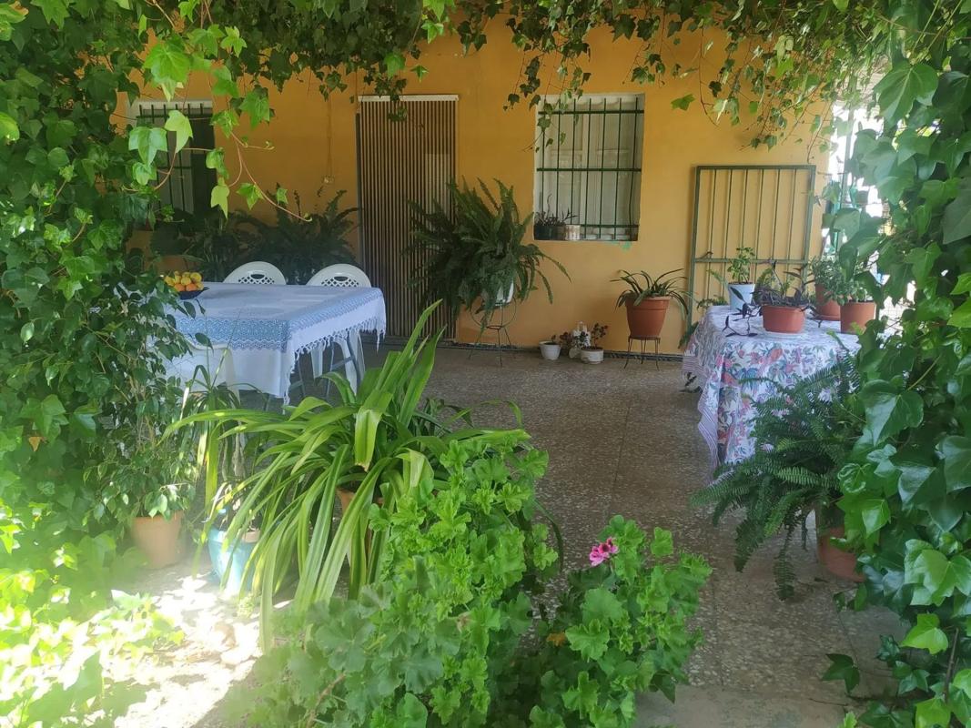 Propiedades en venta y alquiler en España photo 3