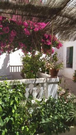Casa independiente photo 1